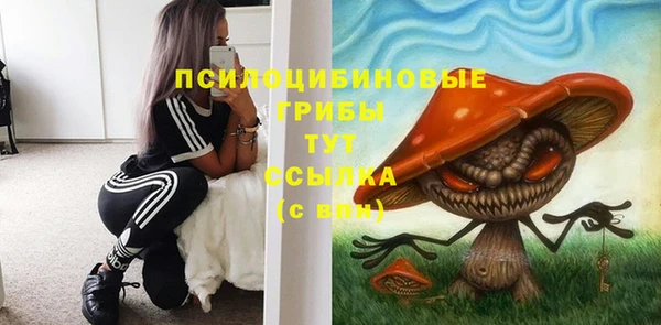 прущие грибы Верхнеуральск