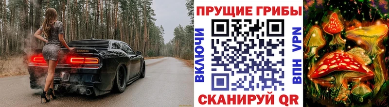 Галлюциногенные грибы прущие грибы  мега ССЫЛКА  Новосокольники 